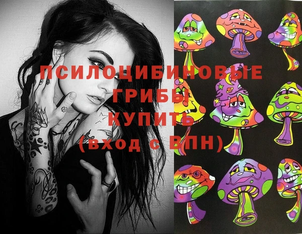 гашик Армянск
