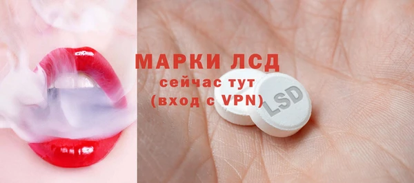мяу мяу мука Аркадак